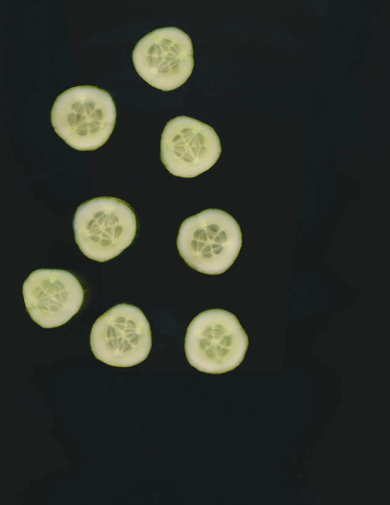 Cucumber