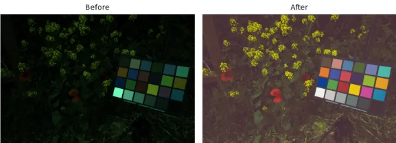 Corrected image from Gehler dataset