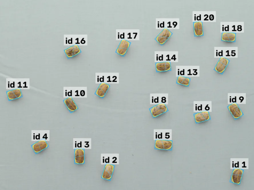 Traitly - Beans, external analysis